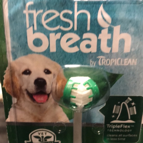 New Oral care for puppies - Picture 3 of 4